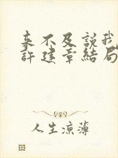 来不及说我爱你许建章结局封面