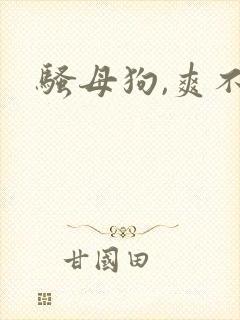 骚母狗,爽不爽