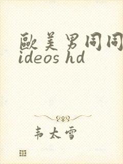 欧美男同同性videos hd