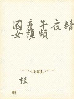 国产午夜精品美女视频封面