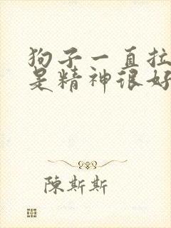 狗子一直拉稀但是精神很好怎么回事