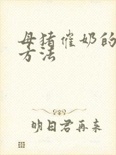 母猪催奶的最快方法