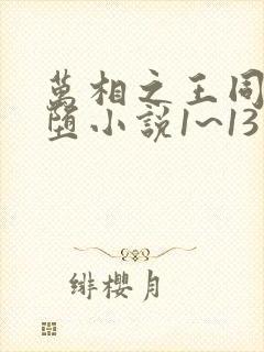 万相之王同人恶堕小说1~13