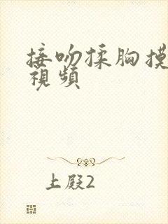 接吻揉胸摸下面视频