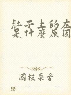 肚子上的左边疼是什么原因