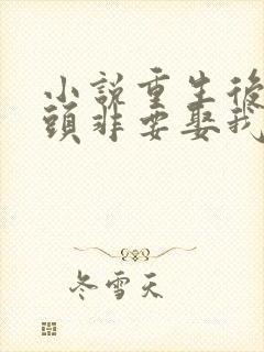 小说重生后死对头非要娶我全文阅读