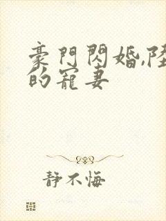 豪门闪婚,陆少的宠妻