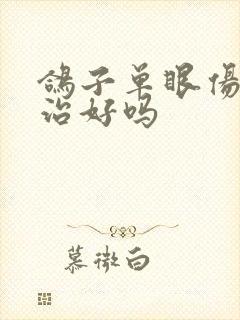 鸽子单眼伤风能治好吗