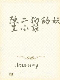 陈二狗的妖孽人生小说