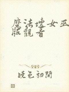 魔法坏女巫2正版观看封面