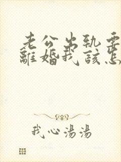 老公出轨要和我离婚我该怎么办封面