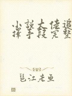 小说大佬追妻不择手段完整版