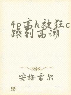 4p高h被狂c躁到高潮