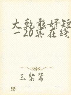 大乾憨婿短剧1一20集在线看