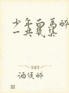 少年白马醉春风一共几集