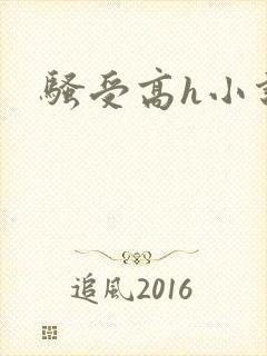 骚受高h小说