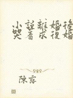 小说离婚后前夫哭着求复婚在线观看