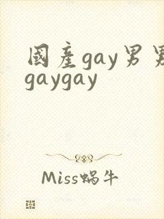 国产gay男男gaygay