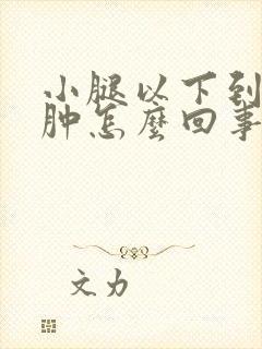 小腿以下到脚浮肿怎么回事