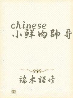 chinese小鲜肉帅哥gaygv