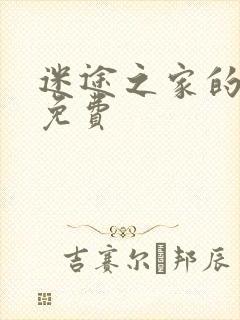 迷途之家的姐姐免费封面