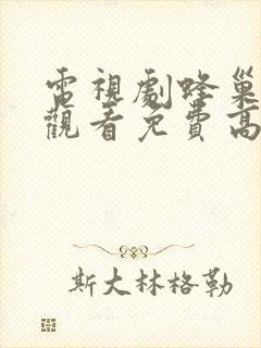 电视剧蜂巢在线观看免费高清封面