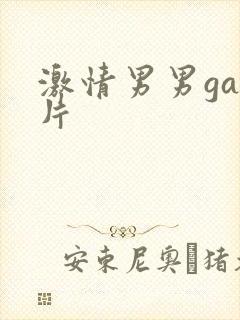 激情男男gay片
