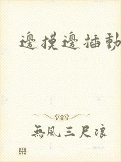 边摸边插动态图