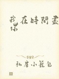 我在时间尽头等你