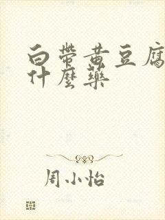 白带黄豆腐渣用什么药