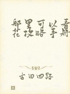 哪里可以看黑莲花攻略手册漫画