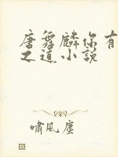 唐舞麟你有取死之道小说