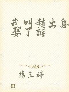 我叫赵出息最后娶了谁封面