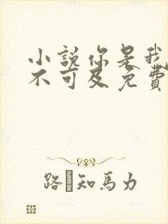 小说你是我的遥不可及免费阅读