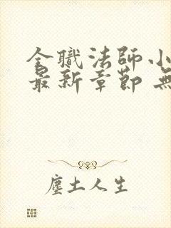 全职法师小说 最新章节 无弹窗