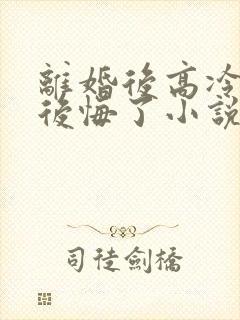 离婚后高冷总裁后悔了小说