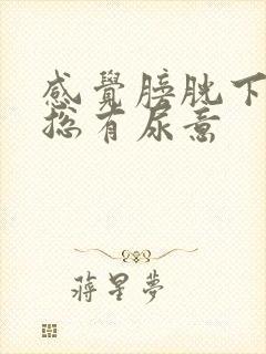 感觉膀胱下坠疼总有尿意