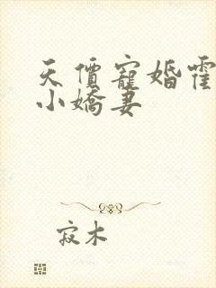 天价宠婚霍总得小娇妻