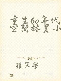 重生6o年代带空间林昊小说