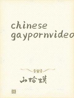 chinesegaypornvideos