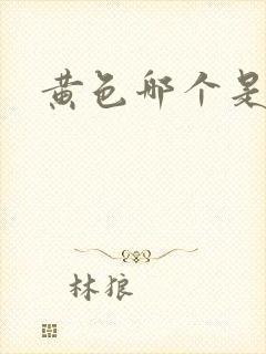 黄色哪个是网址