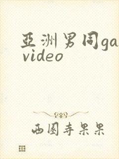 亚洲男同gay video