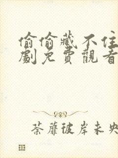 偷偷藏不住电视剧免费观看全集高清封面