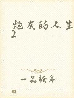 炮灰的人生快穿2