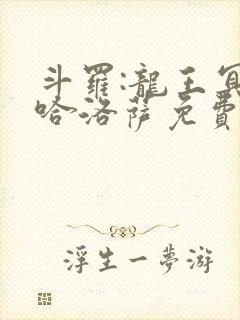 斗罗:龙王冥帝哈洛萨免费阅读