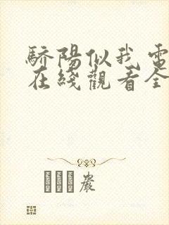 骄阳似我电视剧在线观看全集免费封面