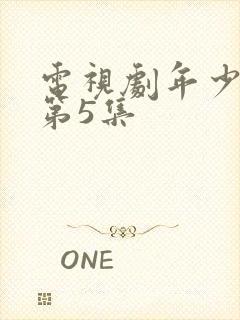 电视剧年少有为第5集封面