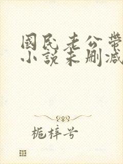 国民老公带回家小说未删减