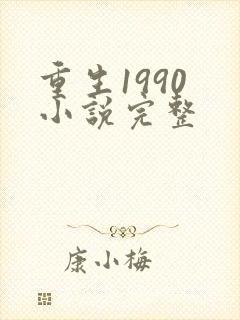 重生1990 小说完整封面