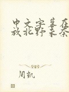 中文字幕在线播放北野未奈